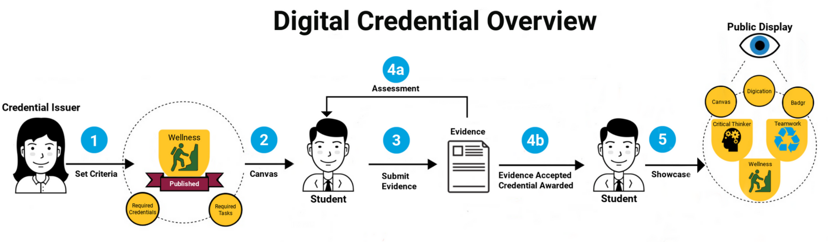 Digital Credential Overview