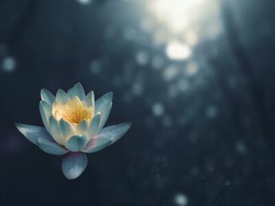Mindful Minutes