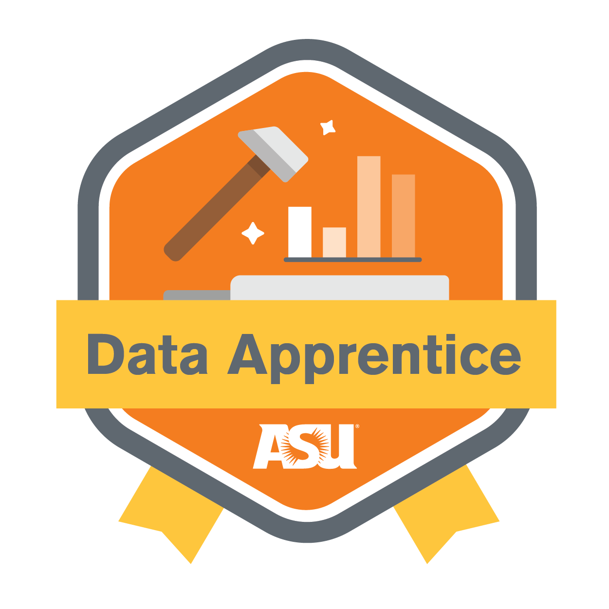 data apprentice