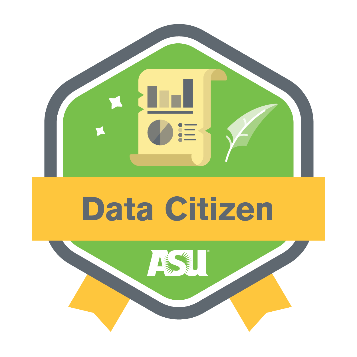 data citizen