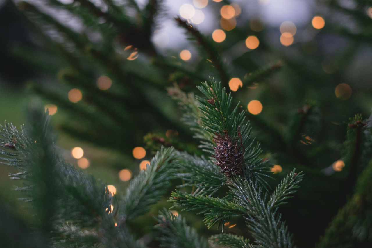 UTO's Help Center got into the spirit of Christmas in July and instated a continuous way for employees to help each other out.