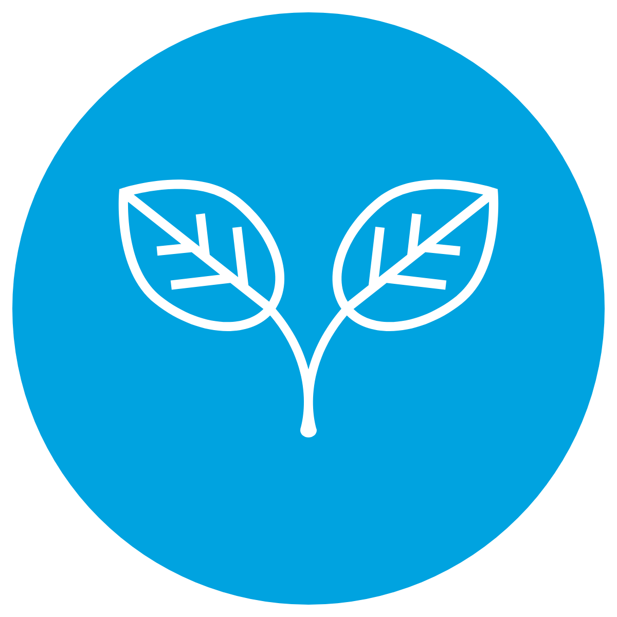 Learning(Hu)Man Nature Walks Icon