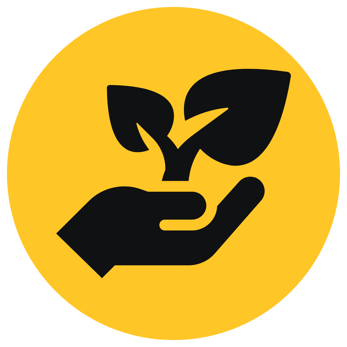 hand with plant = growth